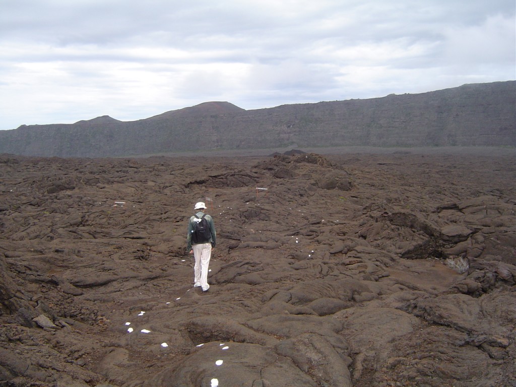 Alors là, eh ben, c'est moi, je suis en train de marcher dans l'enclos du Piton de la Fournaise, ah là là qu'est-ce que c'était beau et saisissant, les marques blanches au sol c'est pour ne pas perdre sa route au beau milieu du volcan. Diapositive suivante, s'il vous plait.